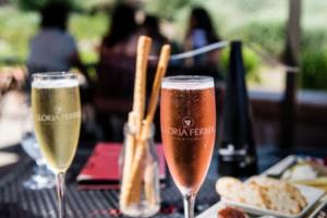 逐光而行，中国体育的崛起与世界杯的机遇中国进军世界杯