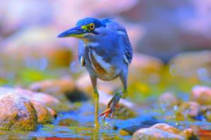 老师，您放的不是足球，是知识的海洋！高中老师放世界杯