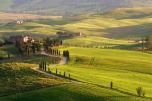 世界杯能量守恒，从物理定律到足球魅力世界杯能量守恒